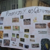 DSC01905